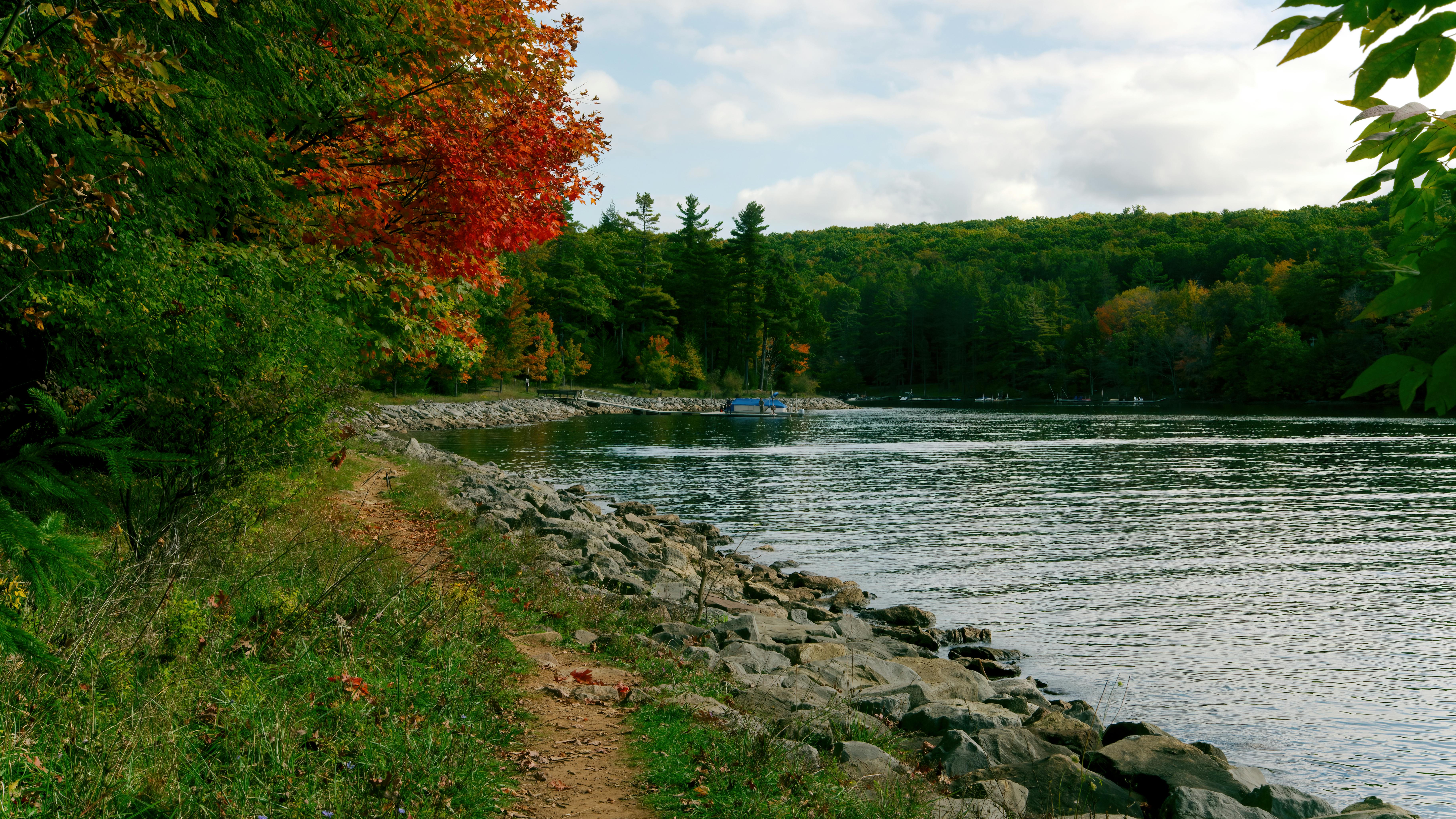 dreamstime_xxl_233084520