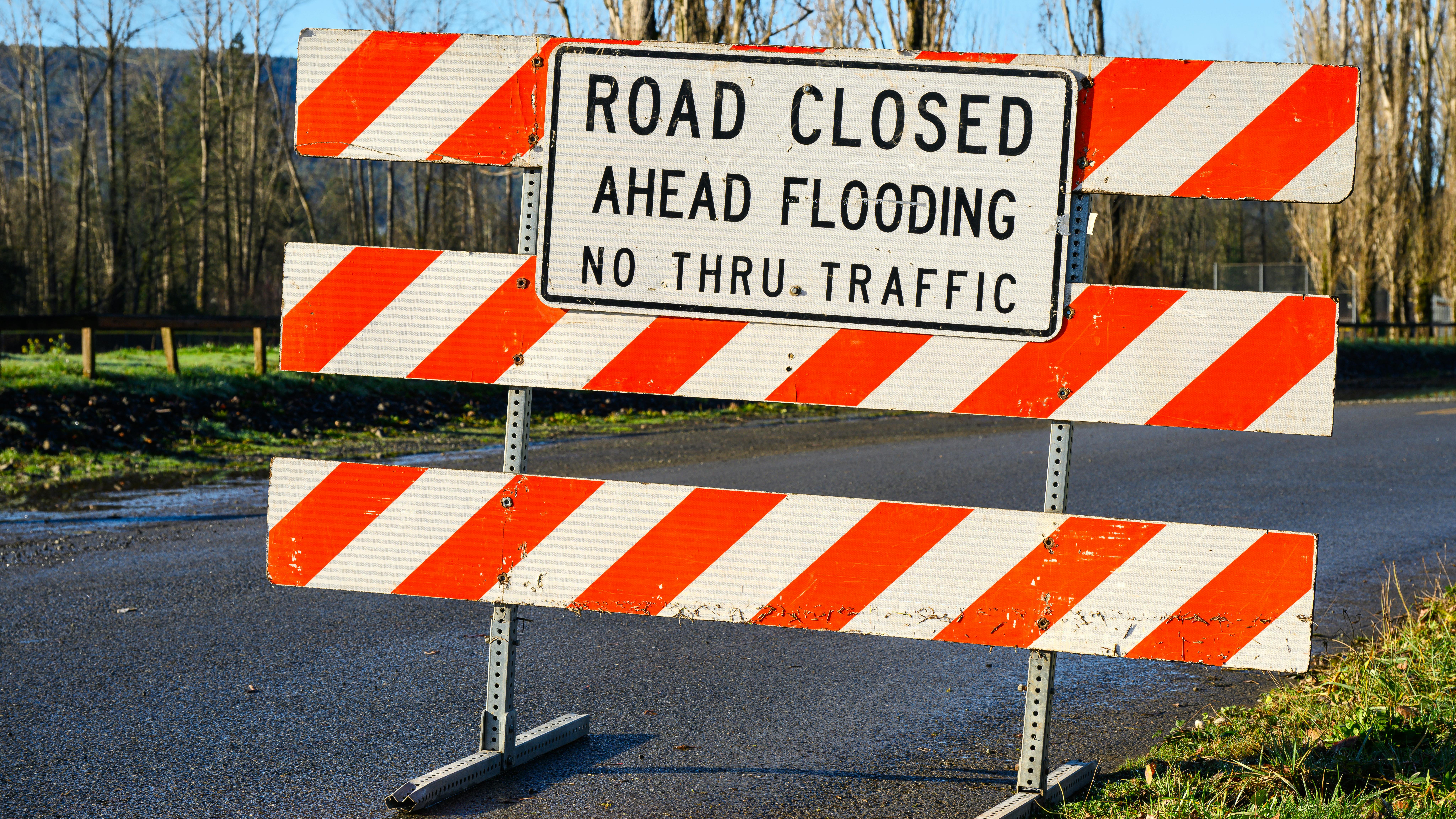 dreamstime_xxl_424219621