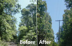 Tdworld Com Sites Tdworld com Files Uploads 2013 06 Woodyard Images Before And After Tdworld Com Sites Tdworld com Files Uploads 2013 06 Woodyard Images Before And After