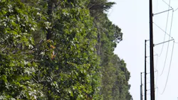 Beta Tdworld Com Sites Tdworld com Files Tdwfaqarticle08182014 Beta Tdworld Com Sites Tdworld com Files Tdwfaqarticle08182014