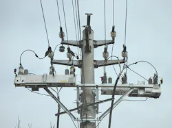 Tdworld Com Sites Tdworld com Files Uploads 2016 05 23 Fig6 Dscn0677final Tdworld Com Sites Tdworld com Files Uploads 2016 05 23 Fig6 Dscn0677final