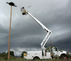 Www Tdworld Com Sites Tdworld com Files Bird Photo3 Final Www Tdworld Com Sites Tdworld com Files Bird Photo3 Final