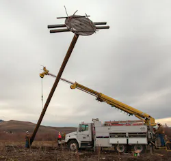 Www Tdworld Com Sites Tdworld com Files Bird Photo4 Final Www Tdworld Com Sites Tdworld com Files Bird Photo4 Final