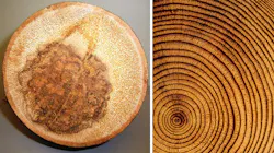 Www Tdworld Com Sites Tdworld com Files Uaa 42 Cross Sections2 Final Www Tdworld Com Sites Tdworld com Files Uaa 42 Cross Sections2 Final