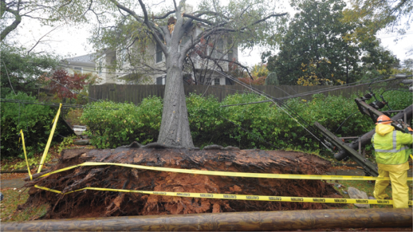 Smart Grid Its All About Communications