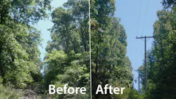 PGE Focuses on Public Safety Prevention of TreeCaused Power Outages and Fire PGE Focuses on Public Safety Prevention of TreeCaused Power Outages and Fire