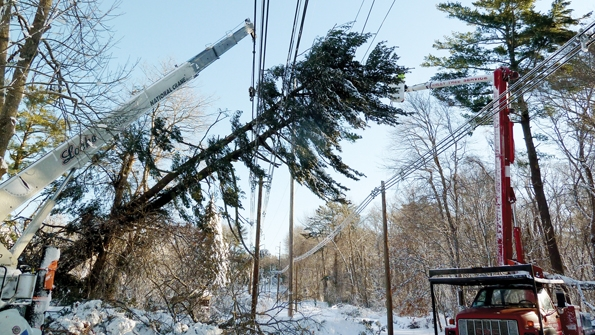 National Grid customer care