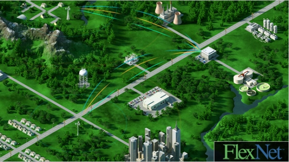 Flexnet