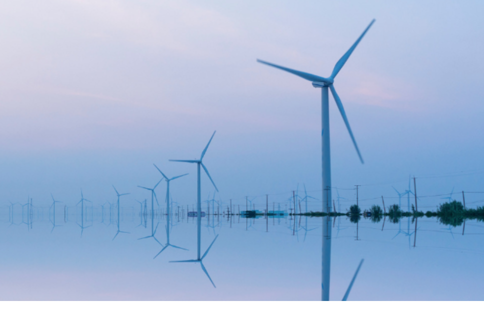 Screen Shot 2019-03-20 at 3.20.08 PM.png