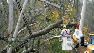 Connecticut Light & Power crews remove a tree resting on distribution lines following a storm in Greenwich, Connecticut.