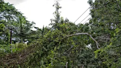 damaged power lines damaged power lines