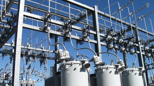 Duke Energy Animal intruders