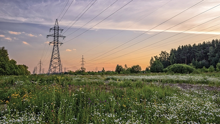 Words Of Wisdom T D World