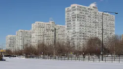 Bronzeville Bronzeville