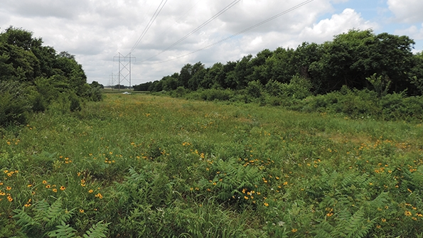 Empire District Electric Co UAA wildlife habitat