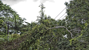 An example of a reliability, safety, fire and environmental quality problem.