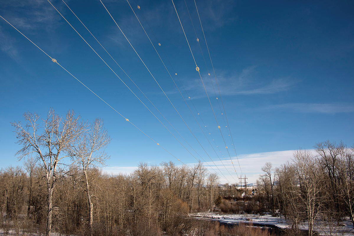 NorthWestern Energy, bird protection