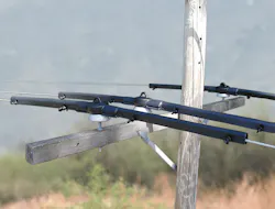 raptor protector raptor protector