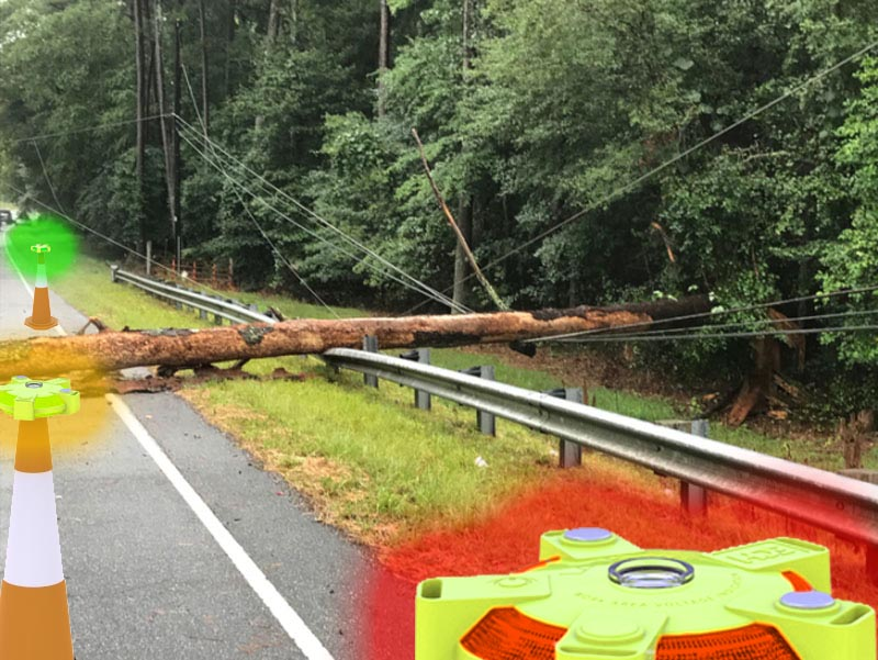 Tree Down with Lookout