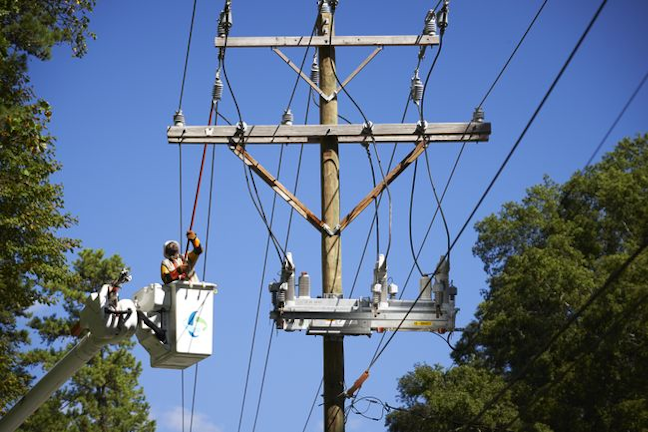 duke-energy-florida-recognized-as-tree-line-usa-utility-for-12th