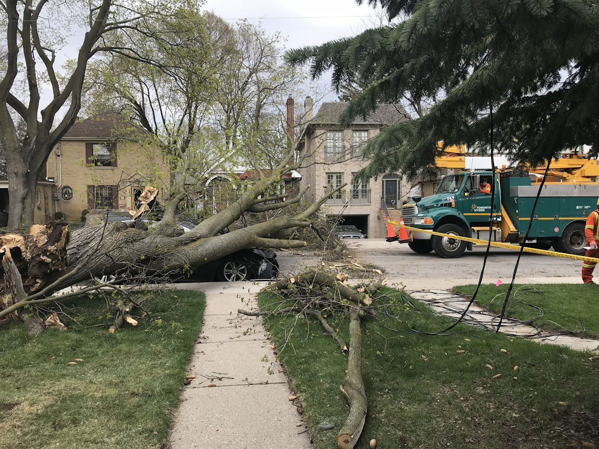 Toronto Hydro Raising Awareness During Powerline Safety Week T D World