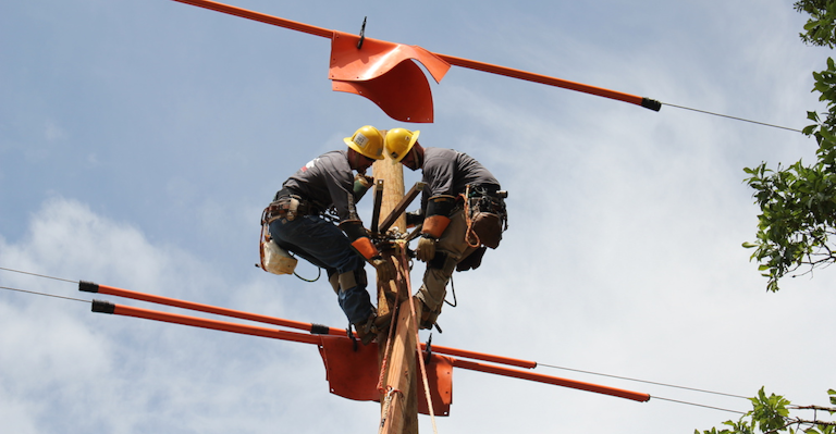 Cobb Emc S Linemen Climb To The Top At Georgia S Lineman S Rodeo T D World