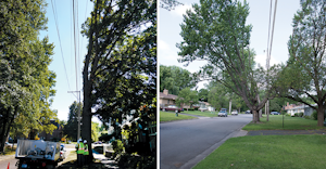 Extending pruning cycles reduces site intrusions into neighborhoods like this, leading to happier customers.