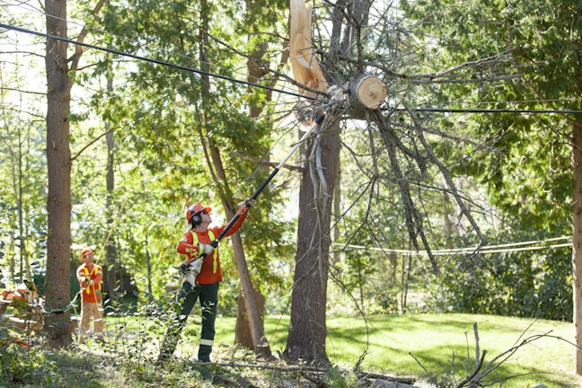 Hydro One Restores Service To More Than 362 000 Customers Following Severe Weather T D World