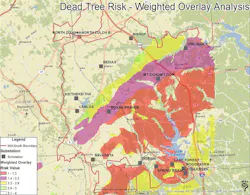 Dead Tree Risk: Weighted Overlay Analysis Dead Tree Risk: Weighted Overlay Analysis