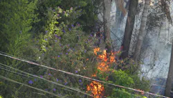 A wildfire A wildfire