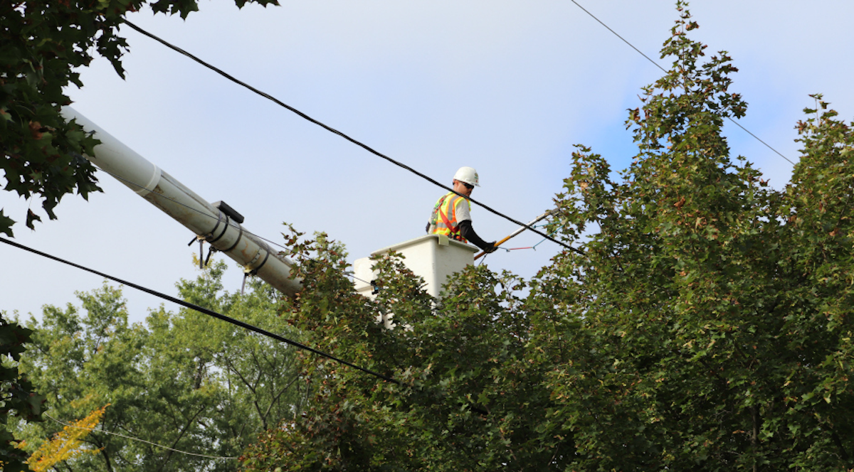 Jersey Central Power Light Invests 97 Million To Harden System