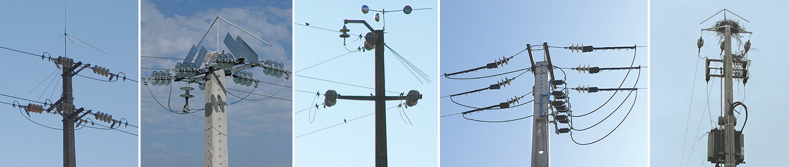 Traditional standard devices to prevent roosting and nesting of storks