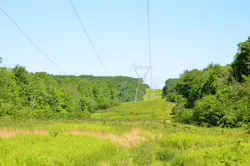 Image 03.JPG Image 03.JPG