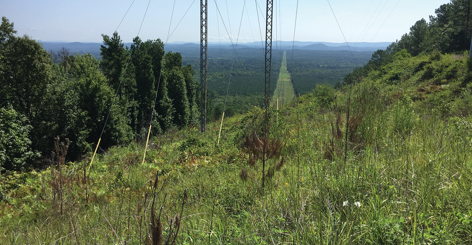 Alabama Power has used dormant-stem treatments on more than 52,000 right-of-way acres in the past three years