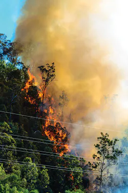 910_05_GettyImages-471995123.jpg 910_05_GettyImages-471995123.jpg