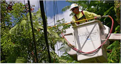 A restoration effort by Florida Power & Light A restoration effort by Florida Power & Light