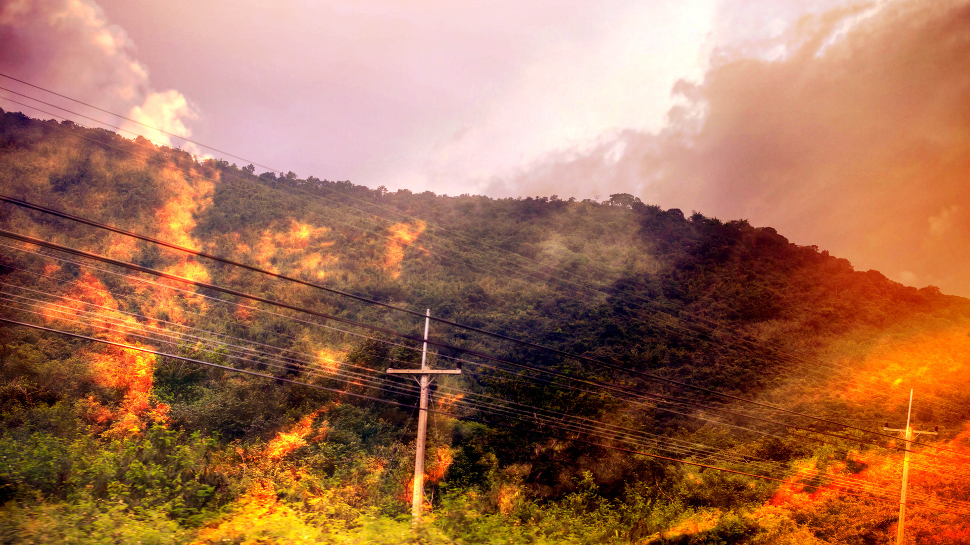 Pole Fire 5e0f0dba9d469