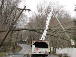 Trees beyond the maintained corridor can fail during high wind events, striking utility targets. Trees beyond the maintained corridor can fail during high wind events, striking utility targets.