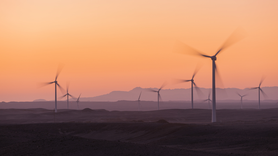 Picture2 5e564d7d38244