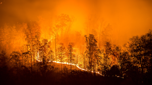 Getty Images 848235734