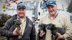 Fhgny6 Mxovde7 Ozyfsti4 X2 Fwu 5e70e78bb0465 Fhgny6 Mxovde7 Ozyfsti4 X2 Fwu 5e70e78bb0465