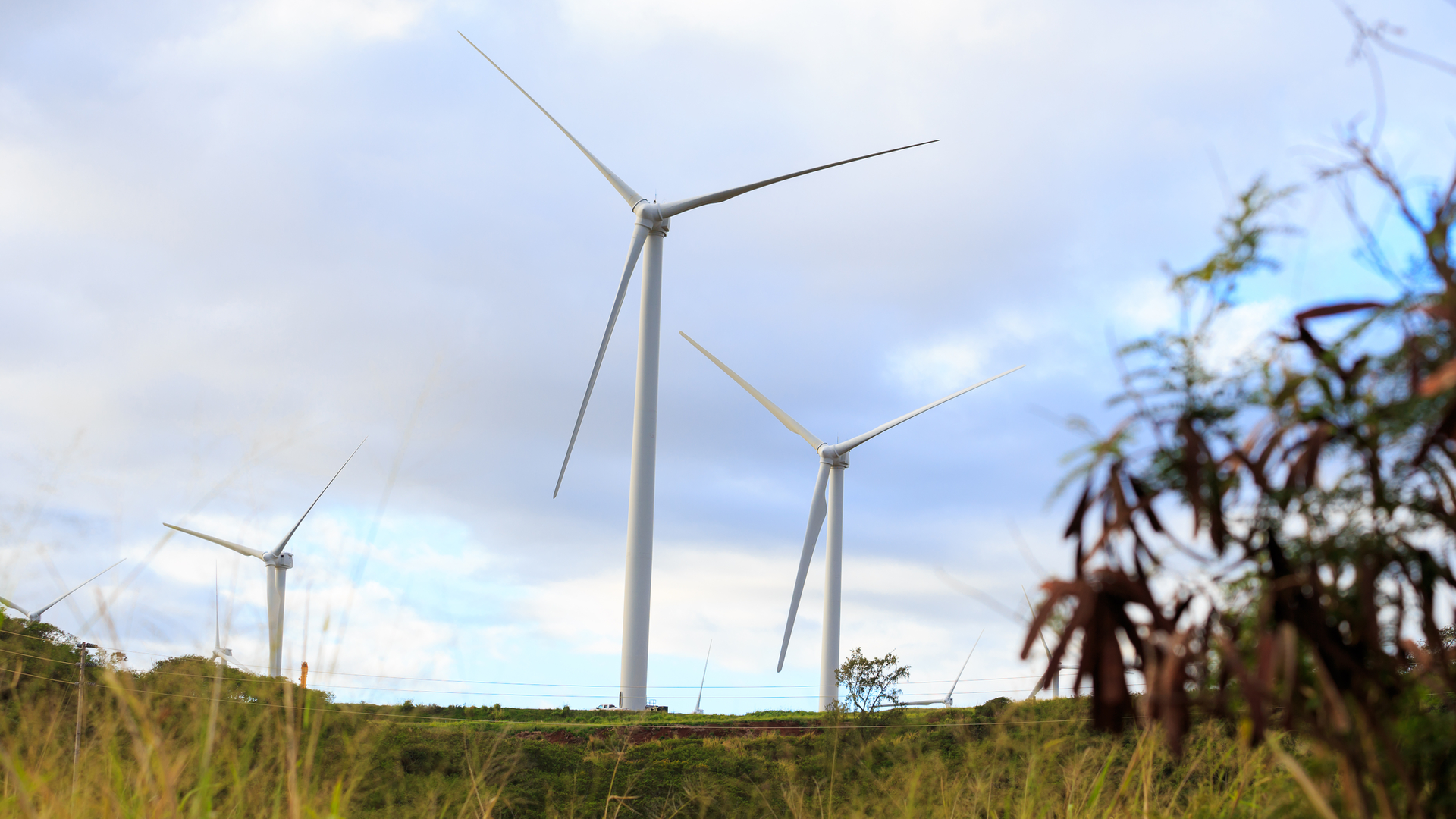 Dreamstime M 65448896 5e8adc71d36cf