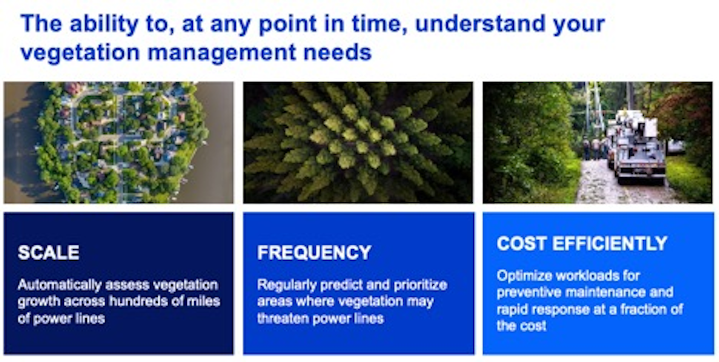 Ai Improves Resilience Of Vegetation Management T D World