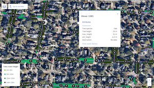 Vegetation Data Image