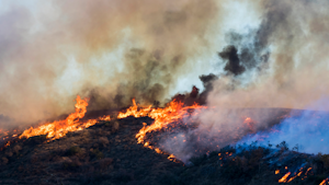 Wildfire California Getty