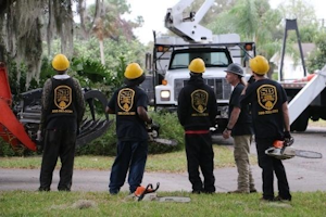 Sb Tree Service
