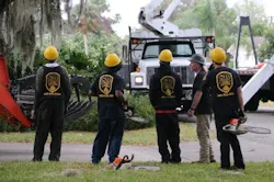 Sb Tree Service 5f5651c5be517 Sb Tree Service 5f5651c5be517