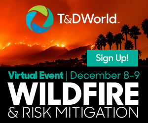 1599565664 Tdw20 Wildfire300x250 Static