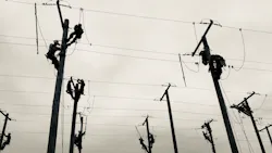 Img 5754 5f83c82c4d69c Img 5754 5f83c82c4d69c