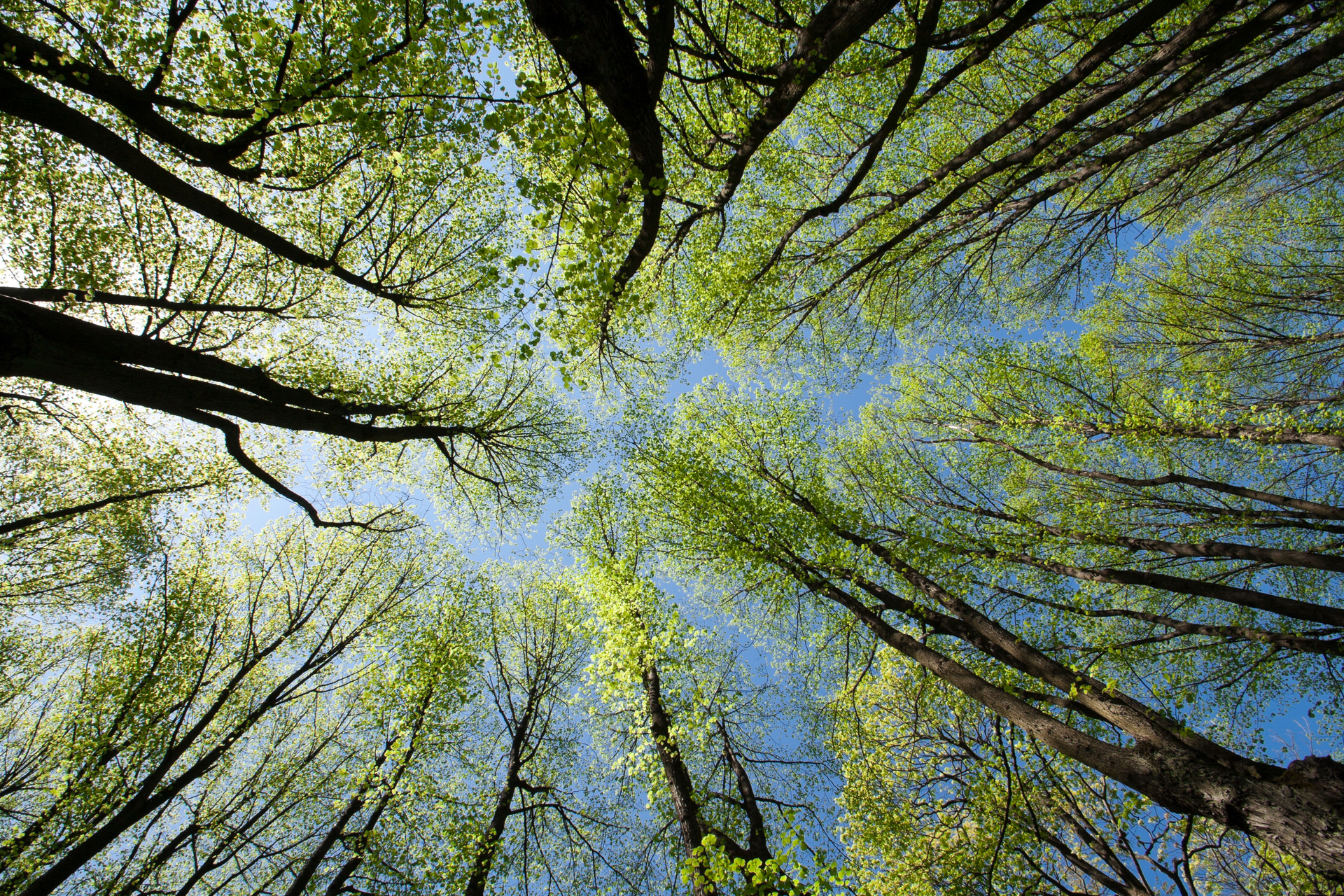 Dreamstime L 22387223 5f851b092ef44